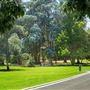 Lacy Park