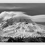 Mount Shasta / Shasta-Trinity National Forest
