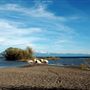 Lake Forest Beach