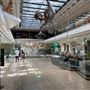 Museum of Natural History, Los Angeles