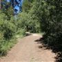 Bluff Lake Reserve