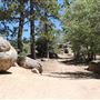 Camp Cedar Lake
