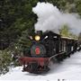 Yosemite Mountain Sugar Pine Railroad