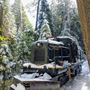 Yosemite Mountain Sugar Pine Railroad
