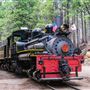Yosemite Mountain Sugar Pine Railroad