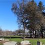 Gauche Park