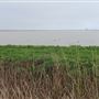 Sutter Bypass Wildlife Area - California Department of Fish & Wildlife (CDFW)