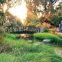 University of California, Davis - UCD