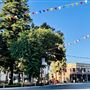 Old Towne Orange Historic District