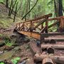 Forest of Nisene Marks State Park (SP), The