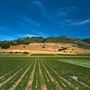 Watsonville