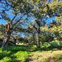 Sage Ranch Park
