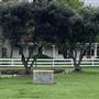 Santa Margarita Ranch
