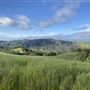 Halter Ranch