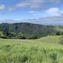 Halter Ranch