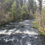 McArthur-Burney Falls Memorial State Park (SP)
