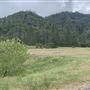 Whiskeytown Lake