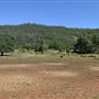Wild Horse Sanctuary