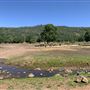 Wild Horse Sanctuary