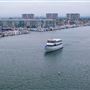 Just Dreamin @ Marina Del Rey Harbor - City Cruises