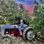 King Street Orchard & Farmhouse