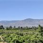 King Street Orchard & Farmhouse
