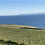 Catalina View Gardens aka Point View