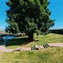 Foothills Motel
