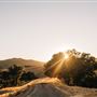 Alisal Ranch