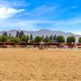 Los Angeles Equestrian Center - LAEC