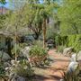 Rancho Old Las Palmas