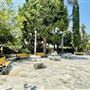 Pitcher Park