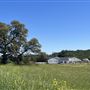 Driftwood Ranch
