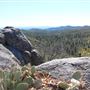 Cleveland National Forest