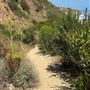 Staircase Beach @ Leo Carrillo State Park (SP) - CFC