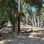 Tapia Park @ Malibu Creek State Park (SP)