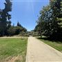 Lacy Park