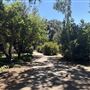 Lacy Park