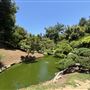 Huntington Library, Art Museum, and Botanical Gardens