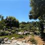 Huntington Library, Art Museum, and Botanical Gardens