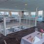 Adventure Hornblower @ Port of San Diego - City Cruises