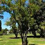 Los Encinos State Historic Park (SHP) adjacent to currently closed Lakeside Restaurant & Lounge