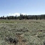 Holcomb Valley  - San Bernardino National Forest & Campground