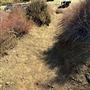 Malibu Creek State Park (SP)