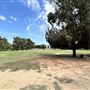 Sepulveda Basin Wildlife Preserve / Woodley Park