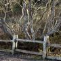 Burleigh H. Murray Ranch Park Property