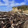 San Gregorio State Beach (SB)