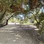 Orcutt Ranch Horticultural Center & Community Garden