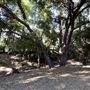 Orcutt Ranch Horticultural Center & Community Garden