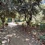 Orcutt Ranch Horticultural Center & Community Garden